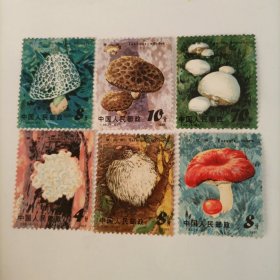 邮票1981年T66食用菌邮票六张全套。