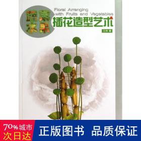 蔬菜水果插花造型艺术 生活休闲 王伟 新华正版