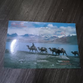 喀什噶尔风光明信片（和平门店副总经理马文斌1996年收）