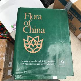 Flora of China（Volume 19）