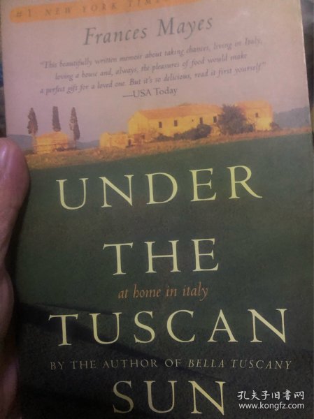 under the tuscan sun 托斯卡尼艳阳下