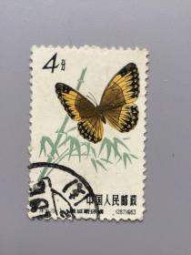 特56蝴蝶邮票一枚。20-3。信销上品。实图发货。