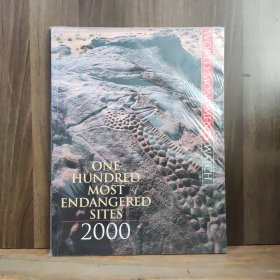 ONE HUNDRED MOST ENDANGERED SITES 2000（2000年最濒危的100个遗址)