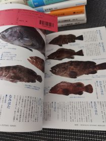 だによく効く旬の食材魚の本（日文）