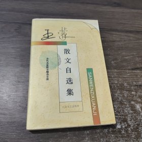 王蒙散文自选集