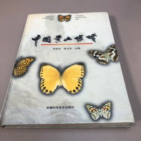 中国黄山蝶蛾