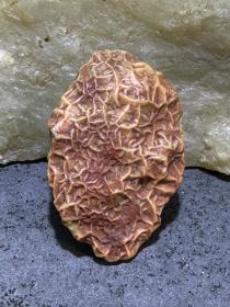 精美阿拉善玛瑙老矿筋脉石原石一颗，