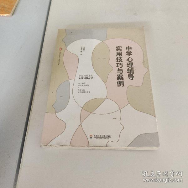 大夏书系·中学心理辅导实用技巧与案例（用得上的心理辅导技巧，24个典型心理辅导案例，助您读懂中学生）