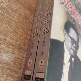 潜龙在渊:交锋后的中国:中国经济发展战略研究