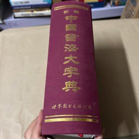 新编中国书法大字典