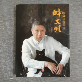 收藏马未都1：醉文明