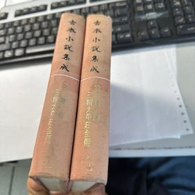 云钟雁三闹太平荘全传  (上下册)   合售  古本小说集成      上海古籍出版社    馆藏   精装本   保证正版  照片实拍  2701