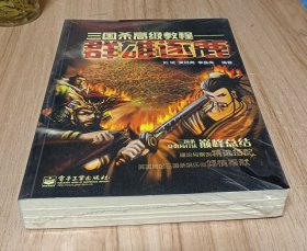 三国杀高级教程：群雄逐鹿（全彩）