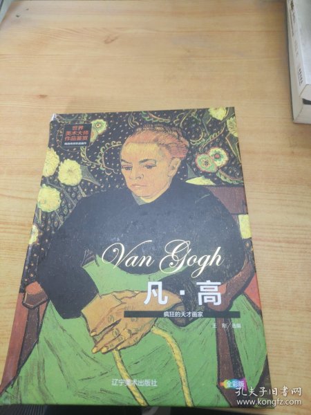 凡高 疯狂的天才画家 世界美术大师作品鉴赏 梵高画册画作