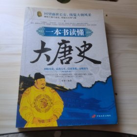 一本书读懂大唐史