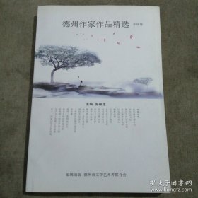 德州作家作品精选 小说卷