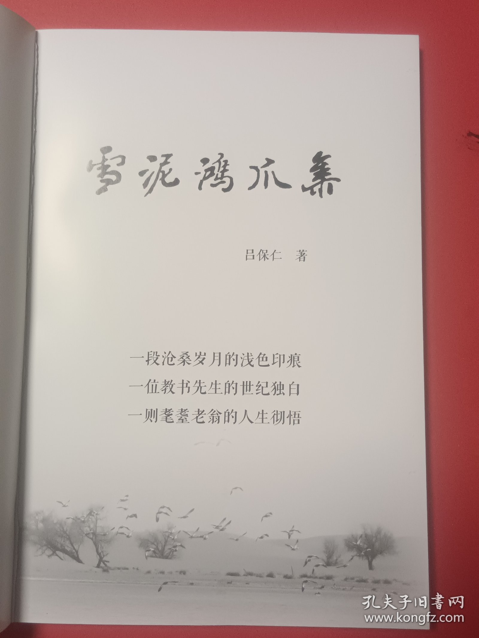 雪泥鸿爪鑫