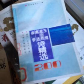 王维 孟浩然 高适 岑参诗精选200首