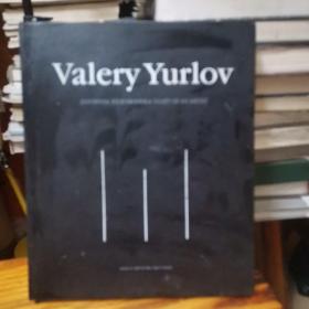 VaIery YurIov 室内设计