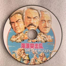 DVD光盘 【海浪突击队】dvd 未曾使用 单碟裸碟 678