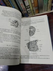 耳鼻咽喉科全书——咽科学