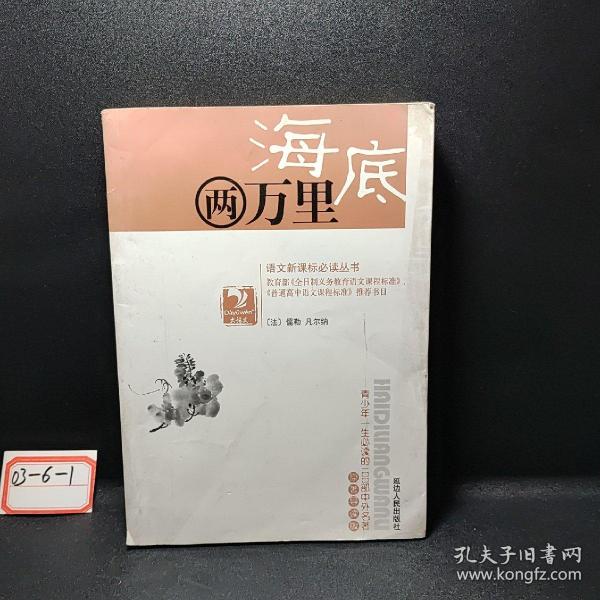 爱的教育/阅读1+1工程