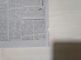 参考消息1978年9月30日，苏报谈电子《离子工艺蔬菜水果保鲜法》