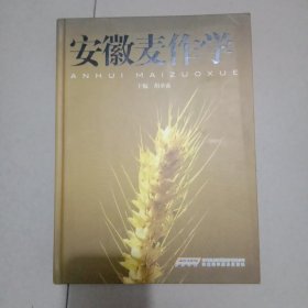 安徽麦作学