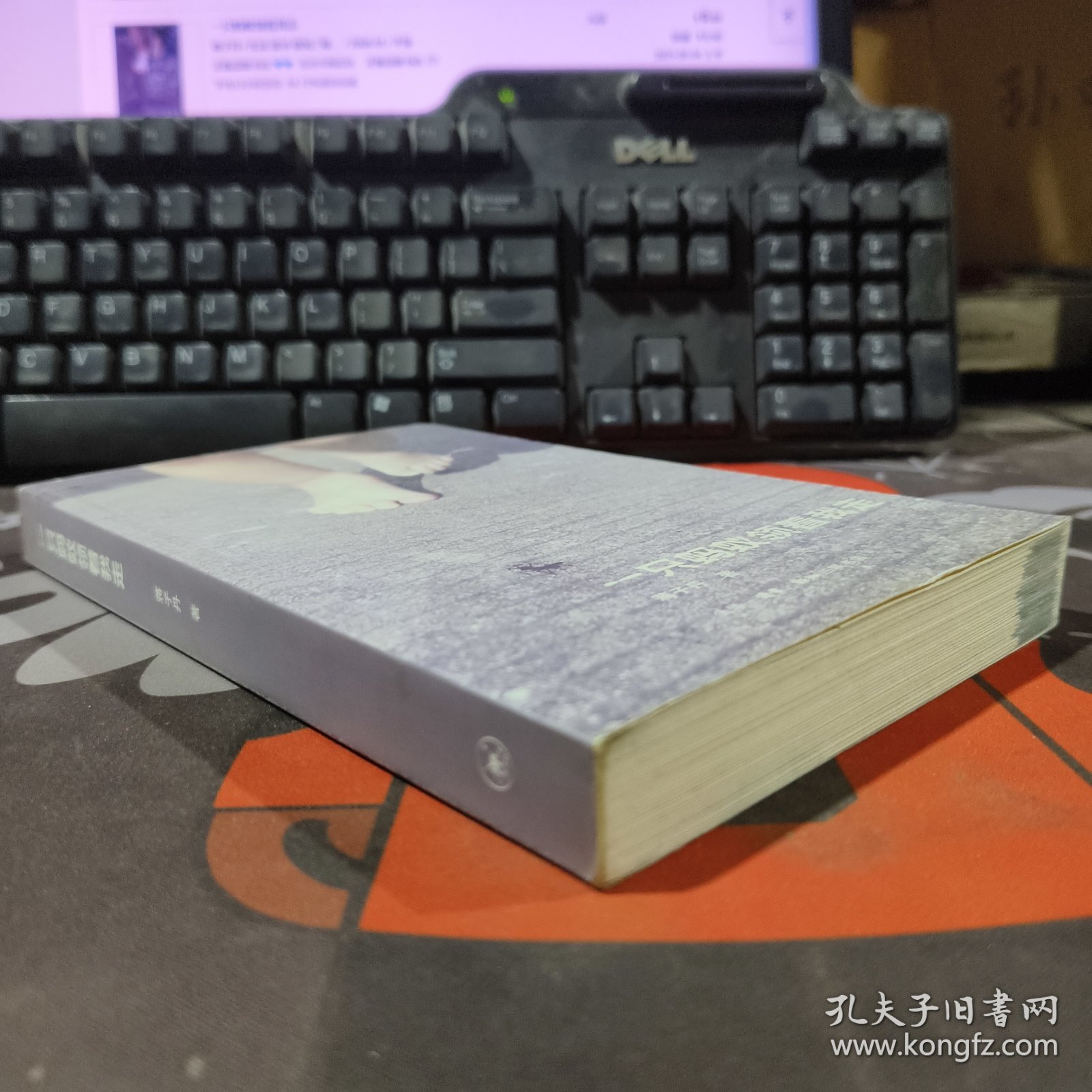一只蚂蚁领着我走（一版一印）
