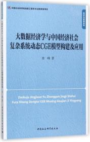 大数据经济学与中国经济社会复杂系统动态CGE模型构建及应用