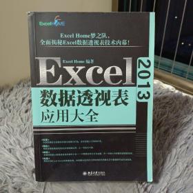 Excel 2013数据透视表应用大全