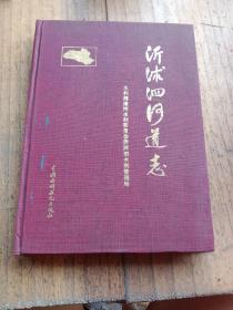 沂沭泗河道志 中国水利水电出版社