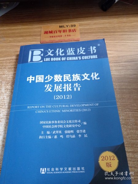 文化蓝皮书：中国少数民族文化发展报告（2012）