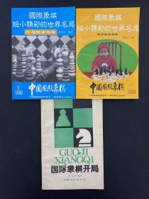 国际象棋短小精彩的世界名局：开局性布局类、封闭性布局类+国际象棋开局 （共3本合售）