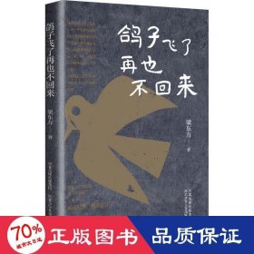 鴿子飛了再也不回來 兒童文學(xué) 梁東方