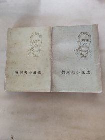 契诃夫小说选 上下