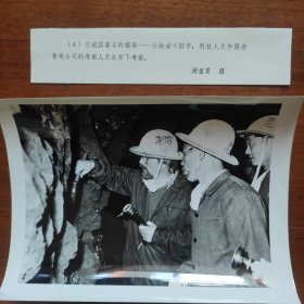 1979年，我国著名锡都---云南个旧市，技术员和西德专家在井下考察