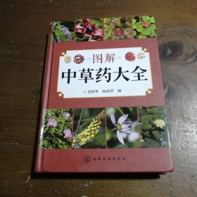 图解中草药大全岳桂华、杨高华  编化学工业出版社