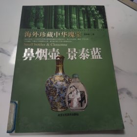 海外珍藏中华瑰宝：鼻烟壶 景泰蓝