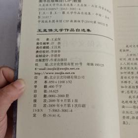 王孟保文学作品自选集