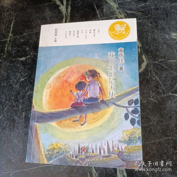 麒麟中国新文学少年读本·我的姐姐是天使