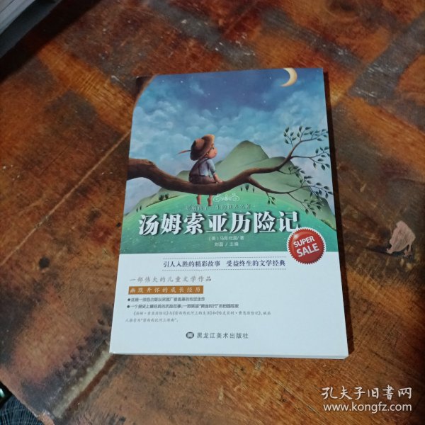 汤姆索亚历险记-*
