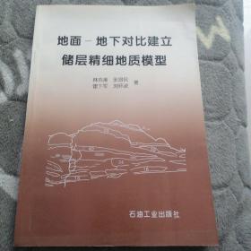 地面-地下对比建立储层精细地质模型（书边角略有皱褶折痕。无写字和勾划）