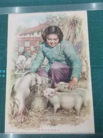 1960年一版一印珍稀老年画！上海人民美术出版社出版 金梅生作《优秀的女饲养员》对开年画一张 