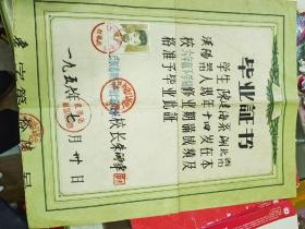 1956年武汉市崇仁路小学毕业证