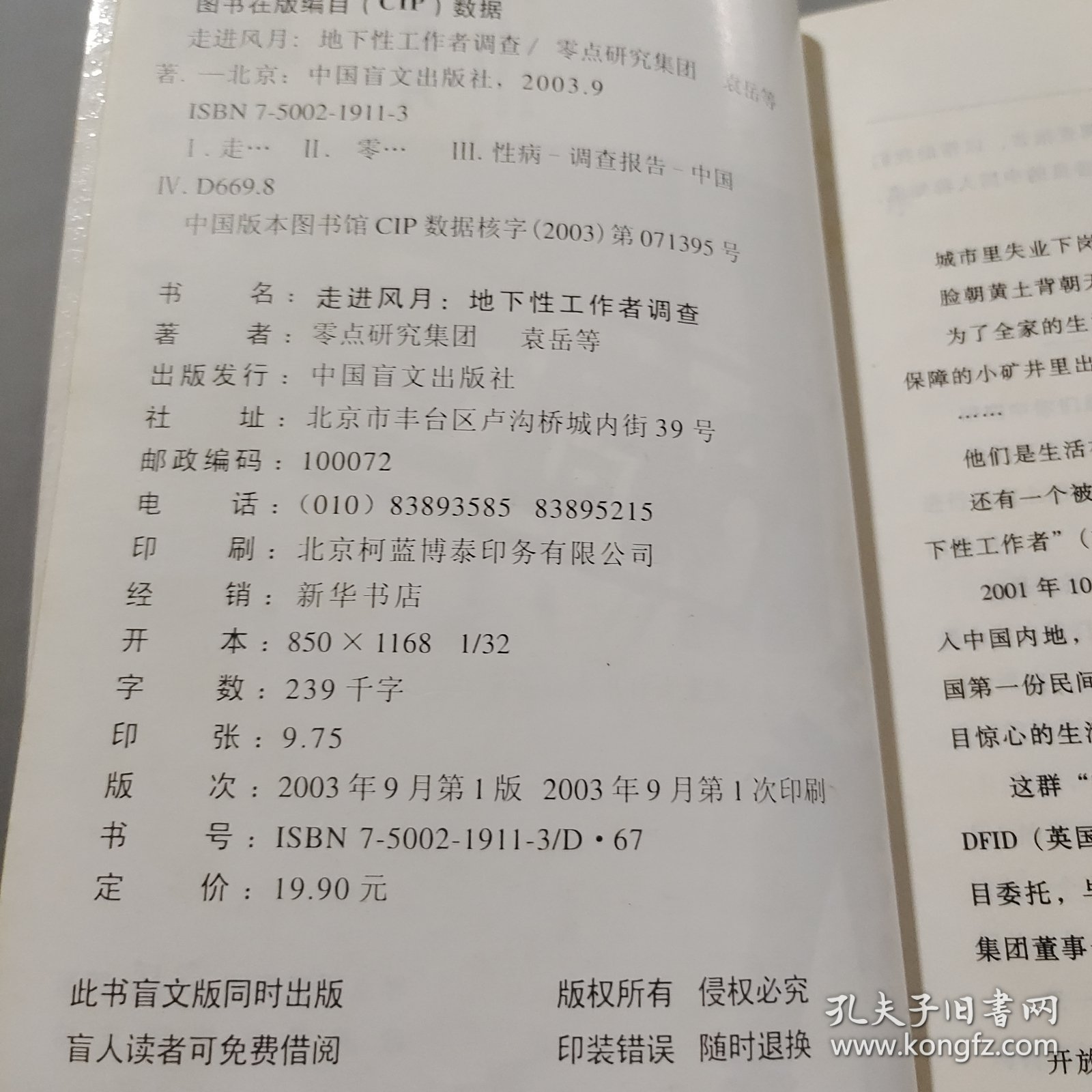 走进风月：地下性工作者调查
