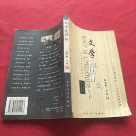 文学是什么