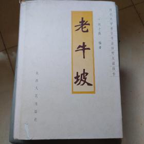 老牛坡:西北大学考古专业田野发掘报告