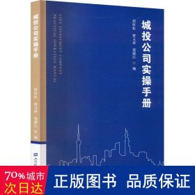 城投公司实手册 管理实务 作者 新华正版