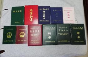 同一人天津证件11

本 1988年天津师范大学结业证书， 1999年高职技术培训结业证书，2000年天津技工学校培训结业证书，2000年被聘任教学的任课资格证书，1995年晋升用天津市外语考试证书，1996年初级技术等级证书，1998年高级技术等级证书，1992年初级专业技术及聘任证书，1995年中级专业技术及聘任证书